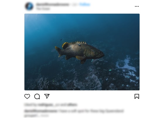 Instagram photo downloader